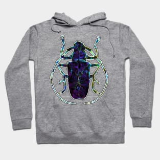 Blue Stone Gem Beetle Hoodie